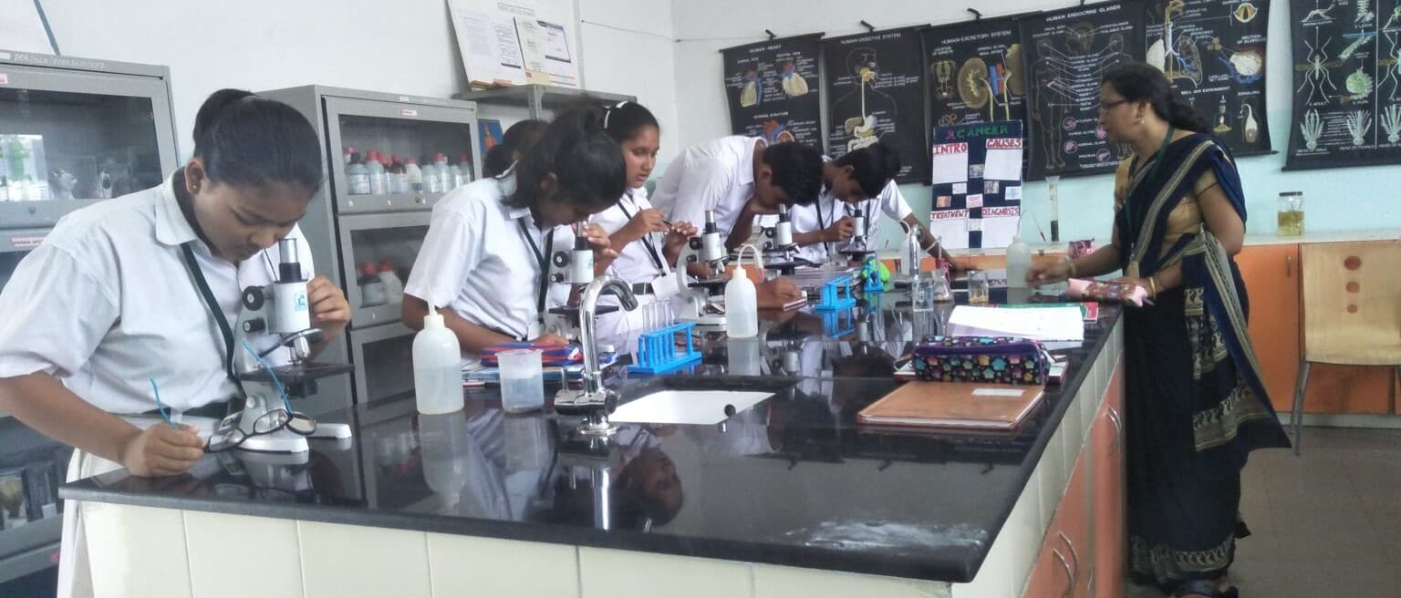 Students actively participating in a music class, playing various instruments