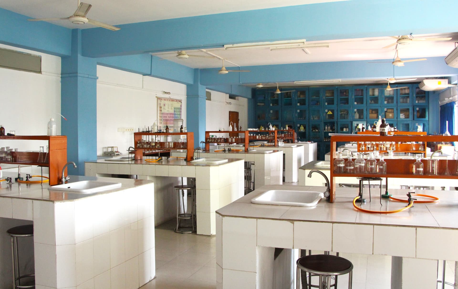 Students actively participating in a music class, playing various instruments