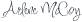 CEO Signature